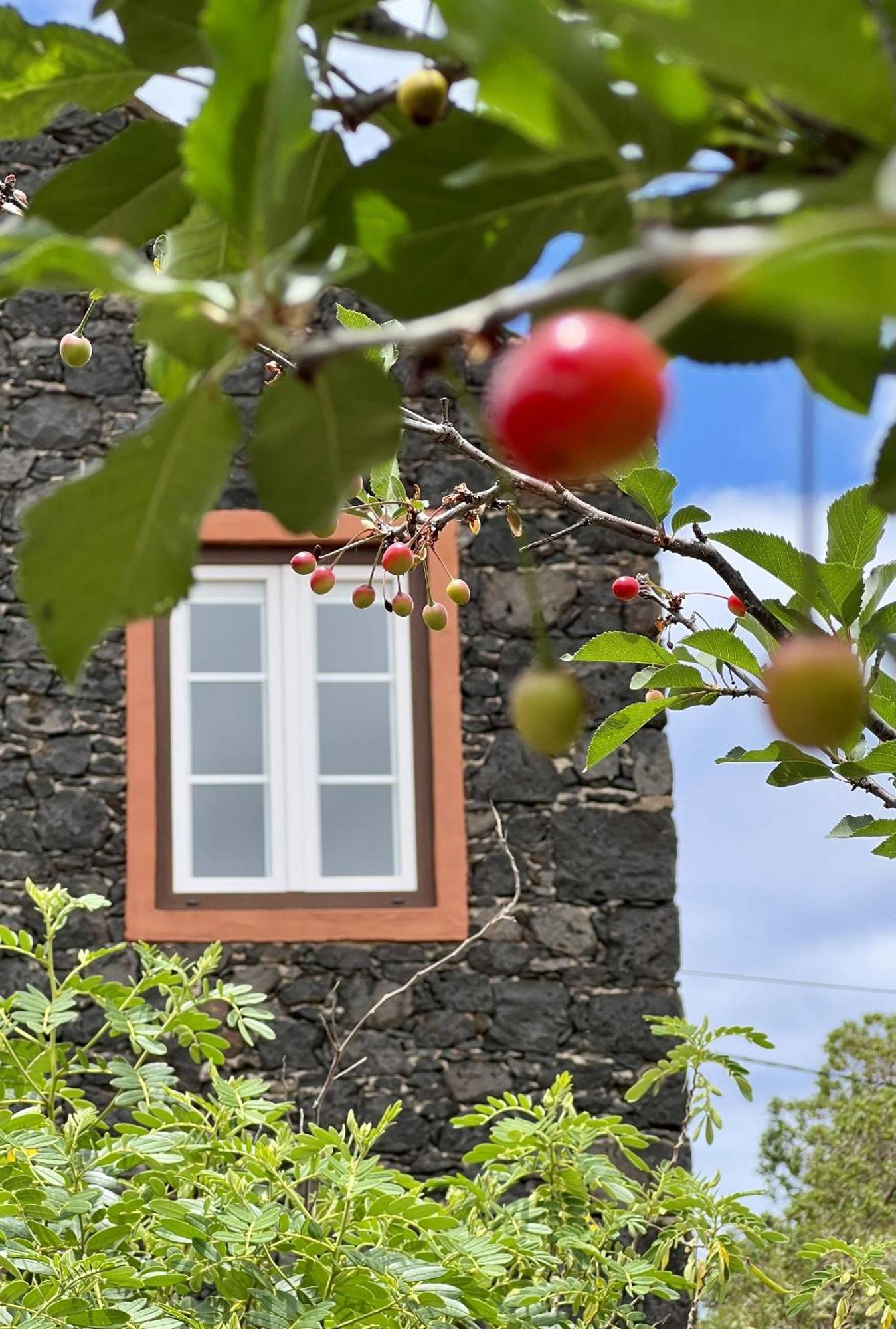 Cozy Rural House Las Guindas, El Hierro Erese エクステリア 写真