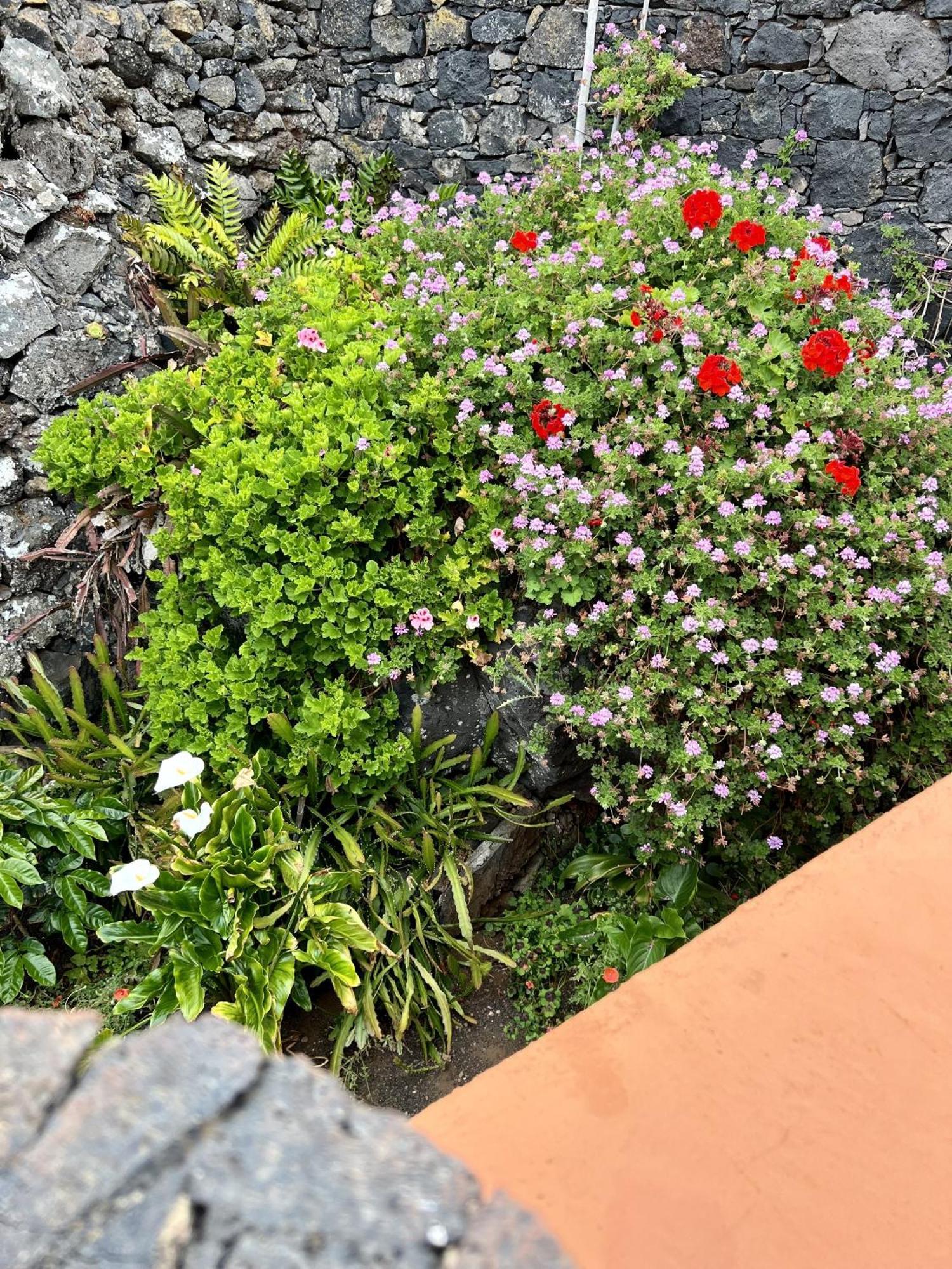 Cozy Rural House Las Guindas, El Hierro Erese エクステリア 写真